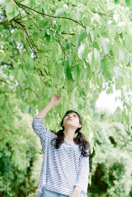 樱花动漫 官方入门网站